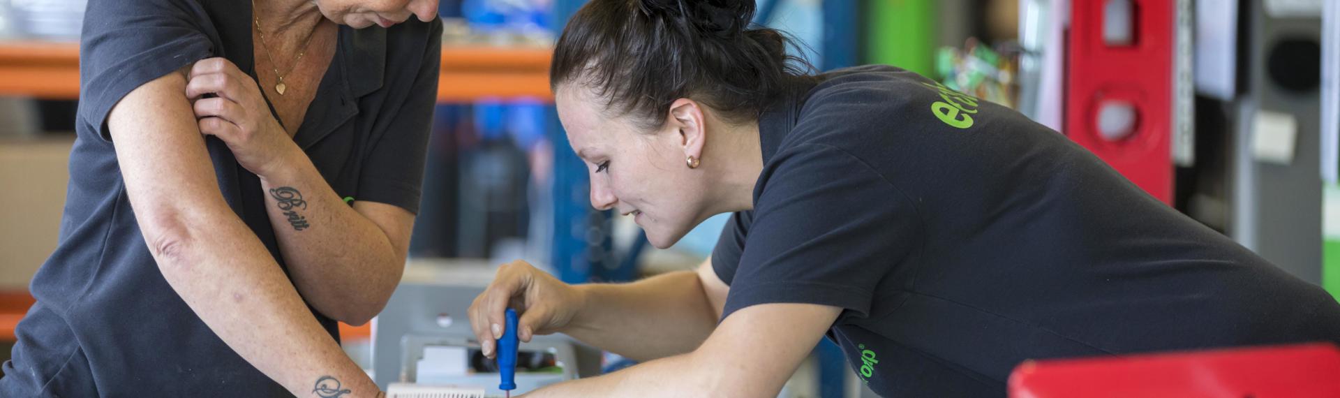 Social involvement with Ecotap in Boxtel