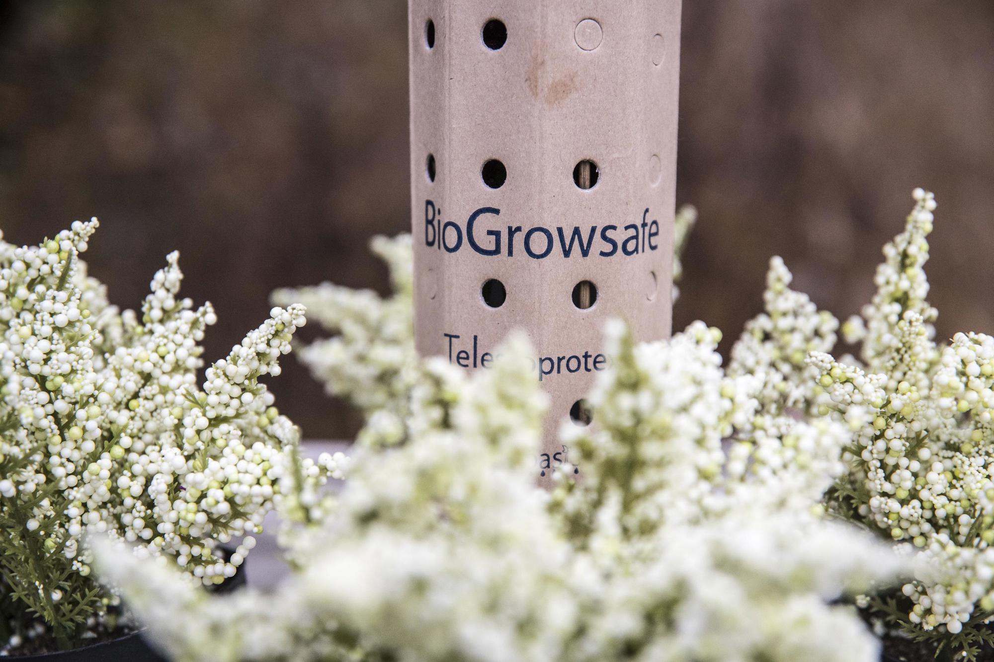 Pieter Hoff from Steenbergen designs water transport system Growboxx